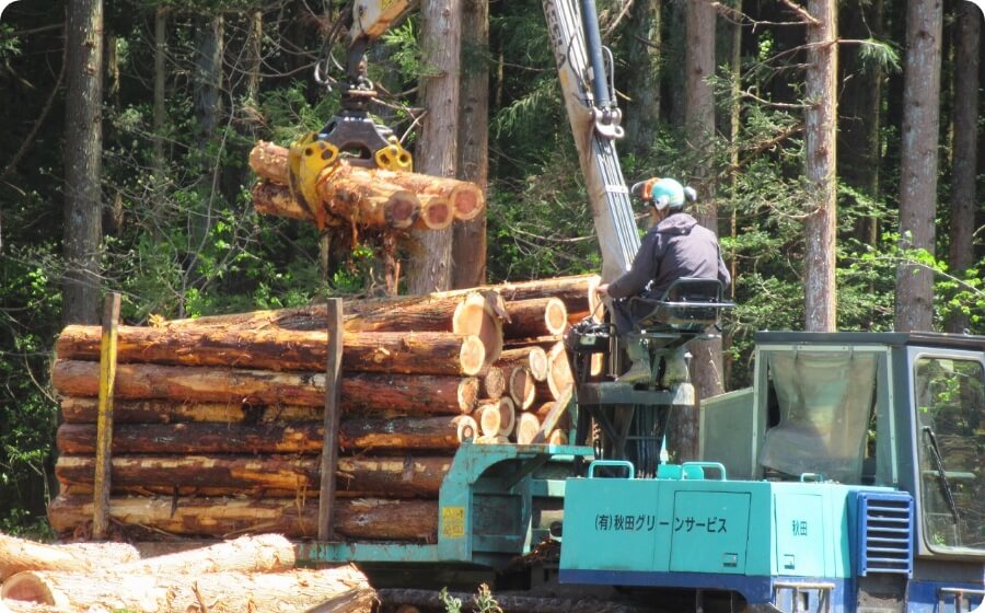 林業の職業紹介所