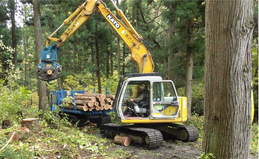 株式会社渋谷林業