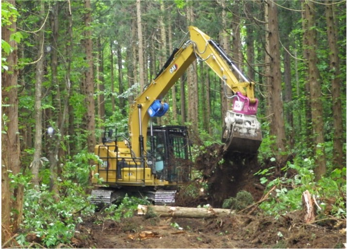 有限会社山口造林