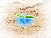 有限会社中村造林