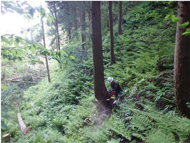 大館北秋田森林組合