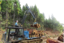 有限会社畠山造林