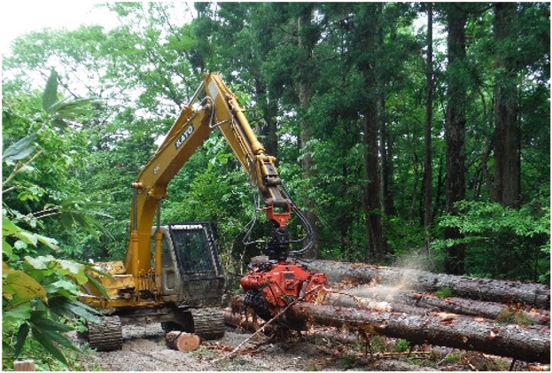 有限会社新林林業