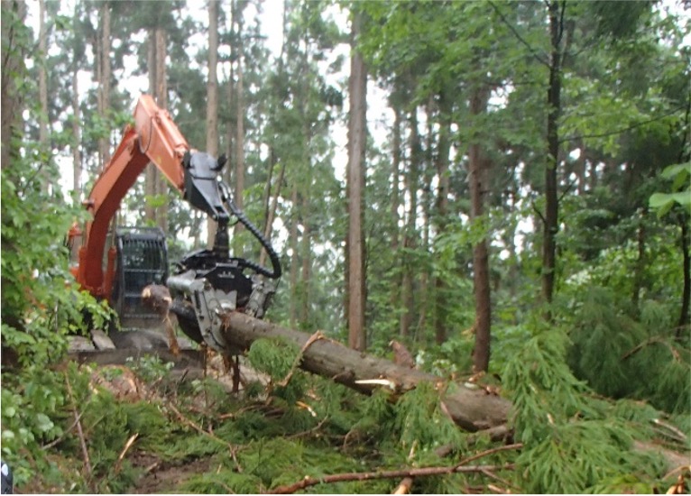 有限会社山田造材部