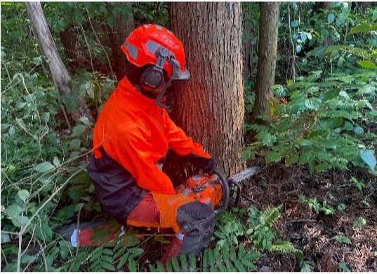 有限会社伊東農園