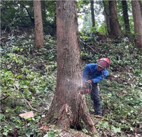 能代運輸株式会社