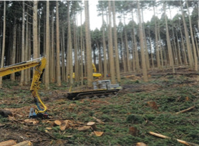 吉岡林業株式会社