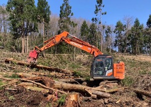 株式会社児玉林業