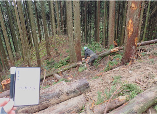 有限会社秋山造園土木