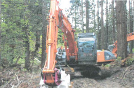 有限会社ウッドフィーリング・ネオ