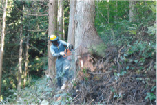 土崎林業株式会社