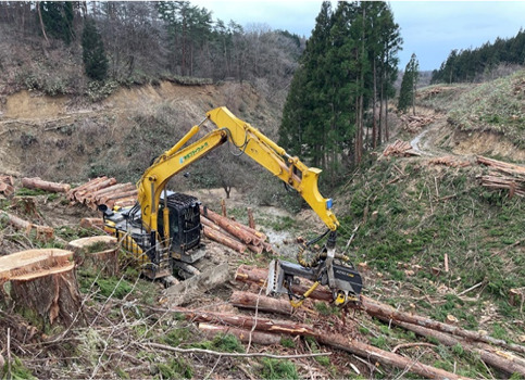 エーピーフォーレ株式会社