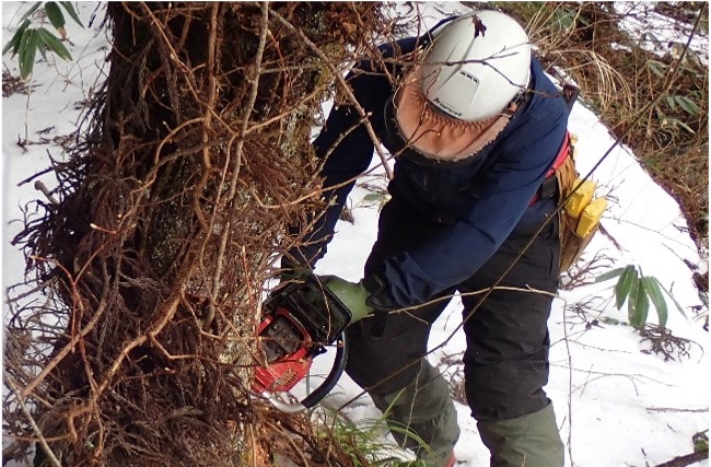 男鹿南秋田森林組合