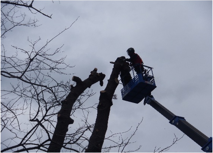 太平山環境管理株式会社