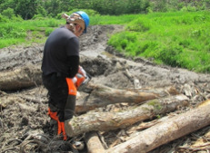 株式会社マルトリ