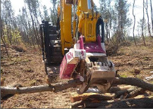 有限会社秋田グリーンサービス