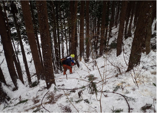 合同会社東七林業