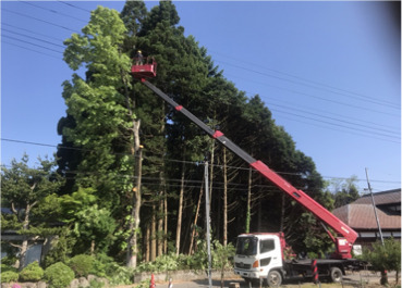 株式会社森林メンテナンスカトウ