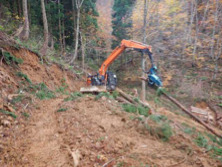 有限会社猪股林業