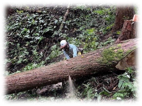 株式会社羽後林産