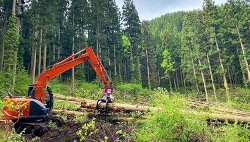 合同会社秋田林業