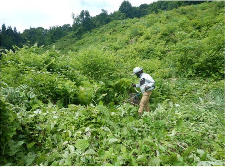 杜人プロテクト株式会社