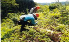 有限会社佐藤総業