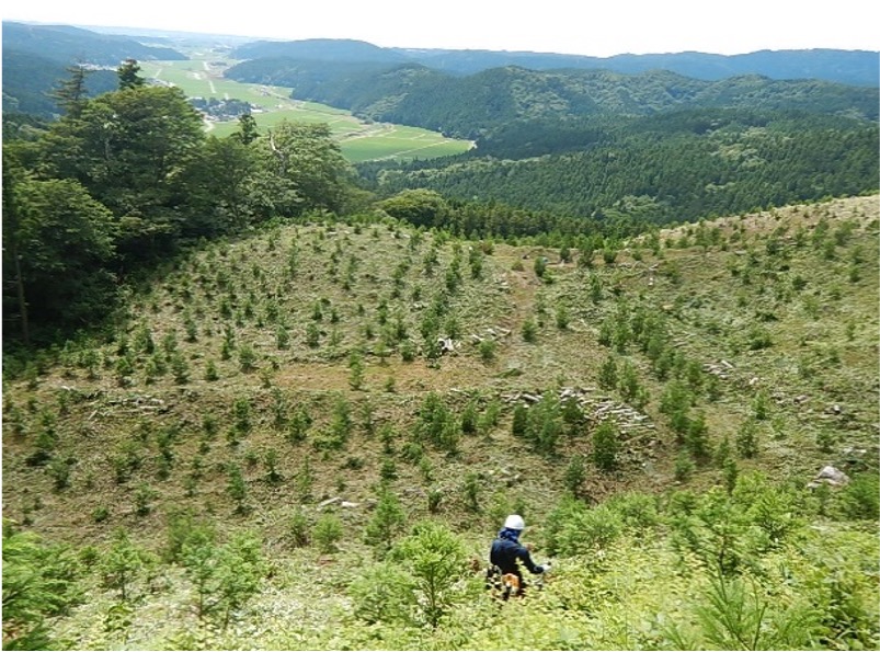 株式会社グリーンフォレスト仁賀保