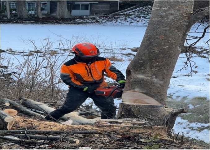 有限会社出羽林業