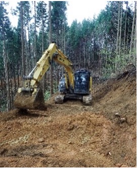 藤澤林業株式会社