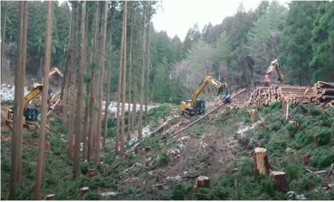 合資会社佐々木林業