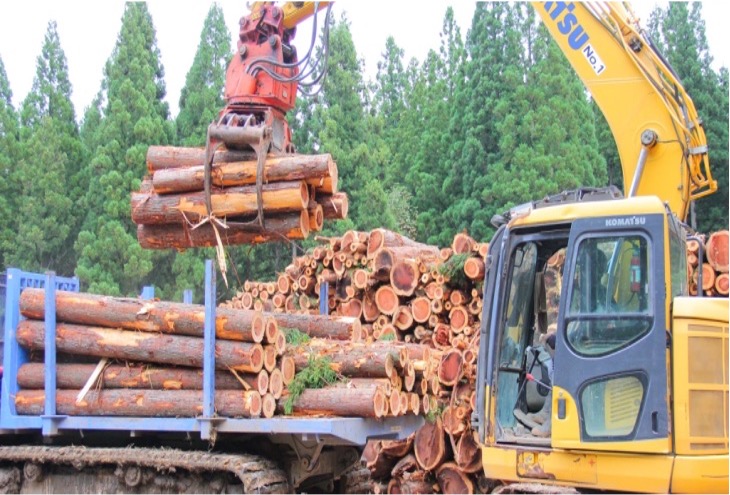 株式会社糸井林業