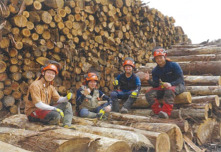 株式会社堀川林業