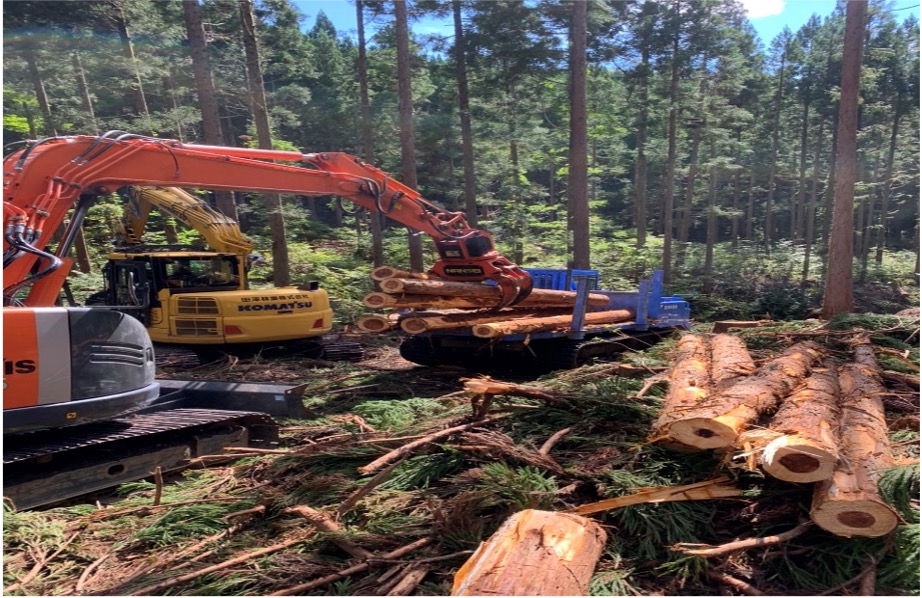 田澤林業株式会社