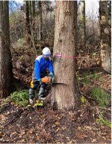 三又建設株式会社