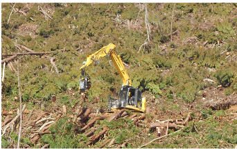 サトウ造林株式会社