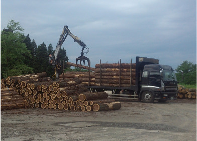 有限会社高耕林産