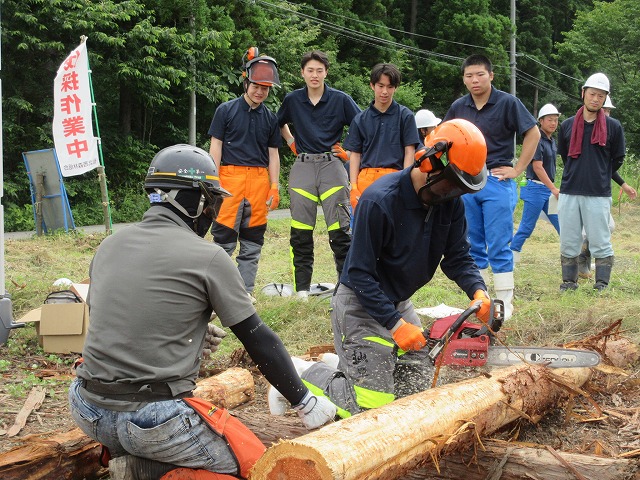 高校生の林業職場体験学習