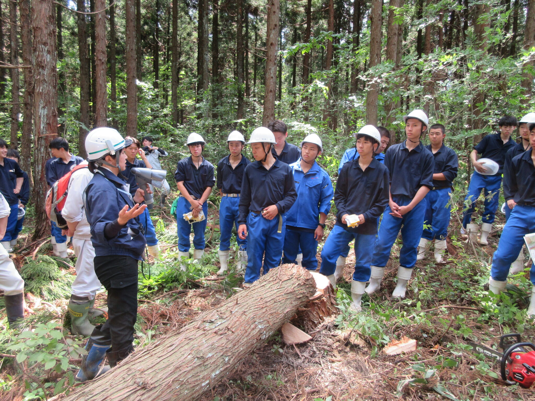 高校生林業体験学習