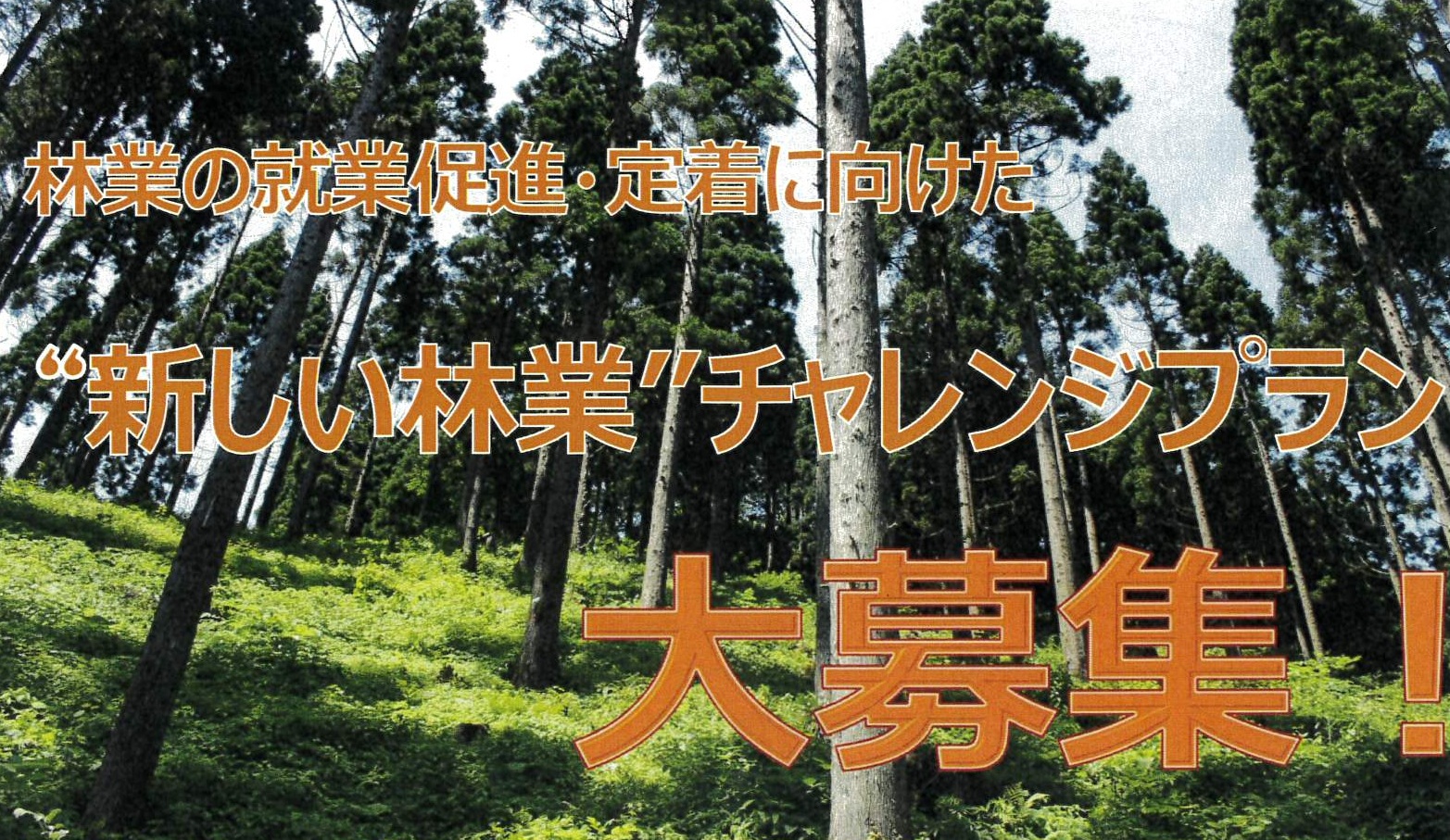 令和８年度　“新しい林業”チャレンジプラン推進事業の募集について（補助金上限100万円）
